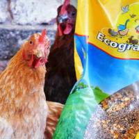 <div class="portfolio-info">
<h3>FARINE POULETS</h3>
<h4>En stock</h4>
</div>